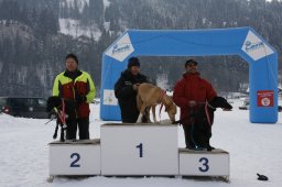 Lenk 2012 SM